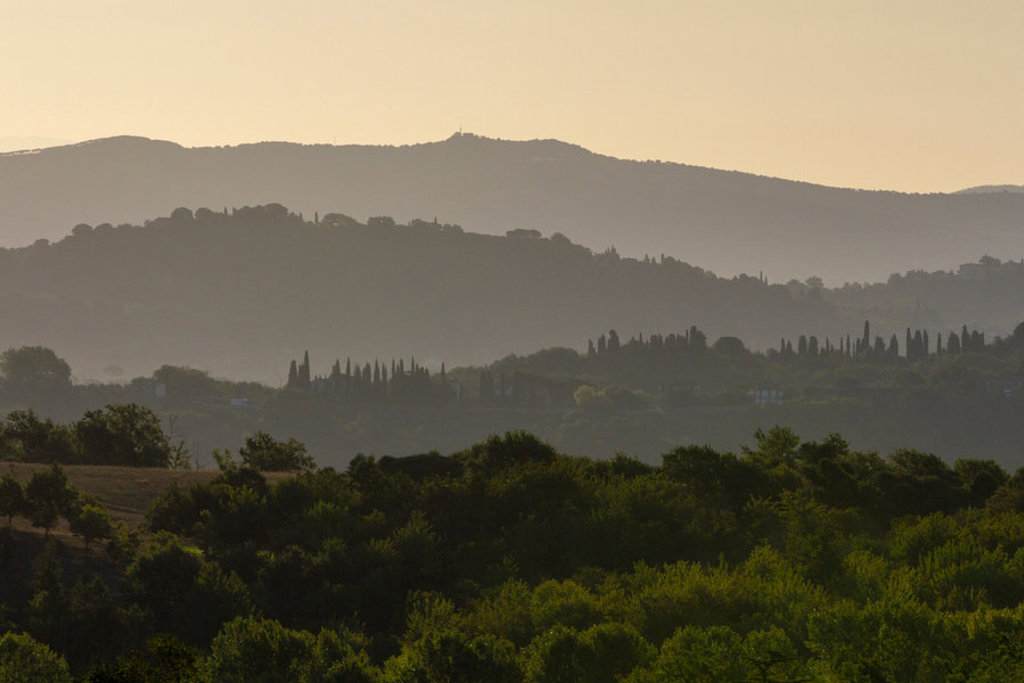 Heuvels en cipressen in Toscane bij zonsondergang tijdens een groepsrondreis Italië.