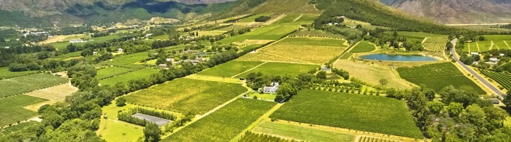 Wijngaarden en bergen in de Franschhoek-vallei, Zuid-Afrika.