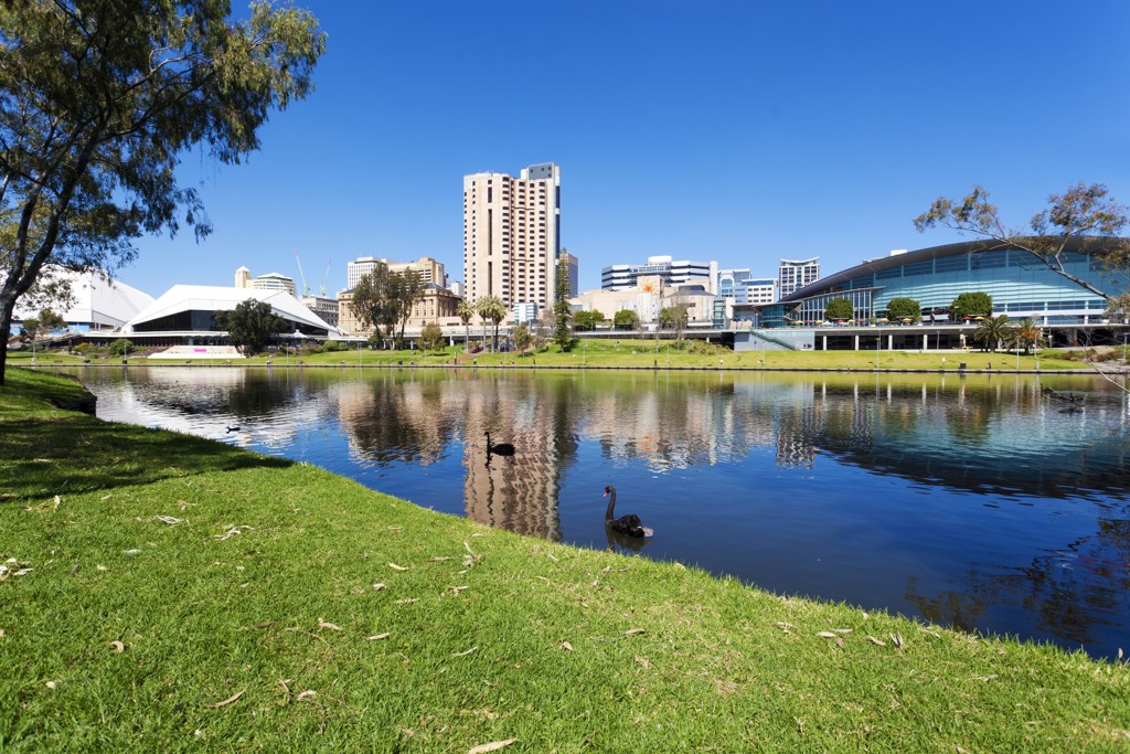 Skyline van Adelaide met rivier en zwarte zwanen in de voorgrond tijdens een groepsrondreis Australië.
