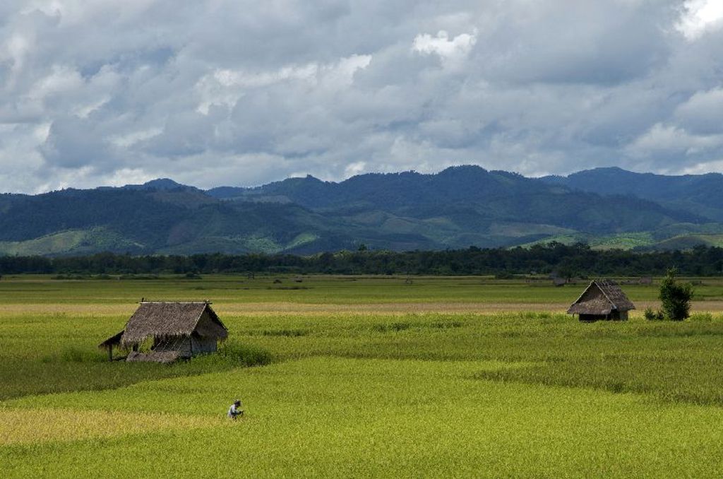 Groene rijstvelden met houten hutten en bergen op de achtergrond in Laos, tijdens een groepsrondreis Laos en Cambodja.