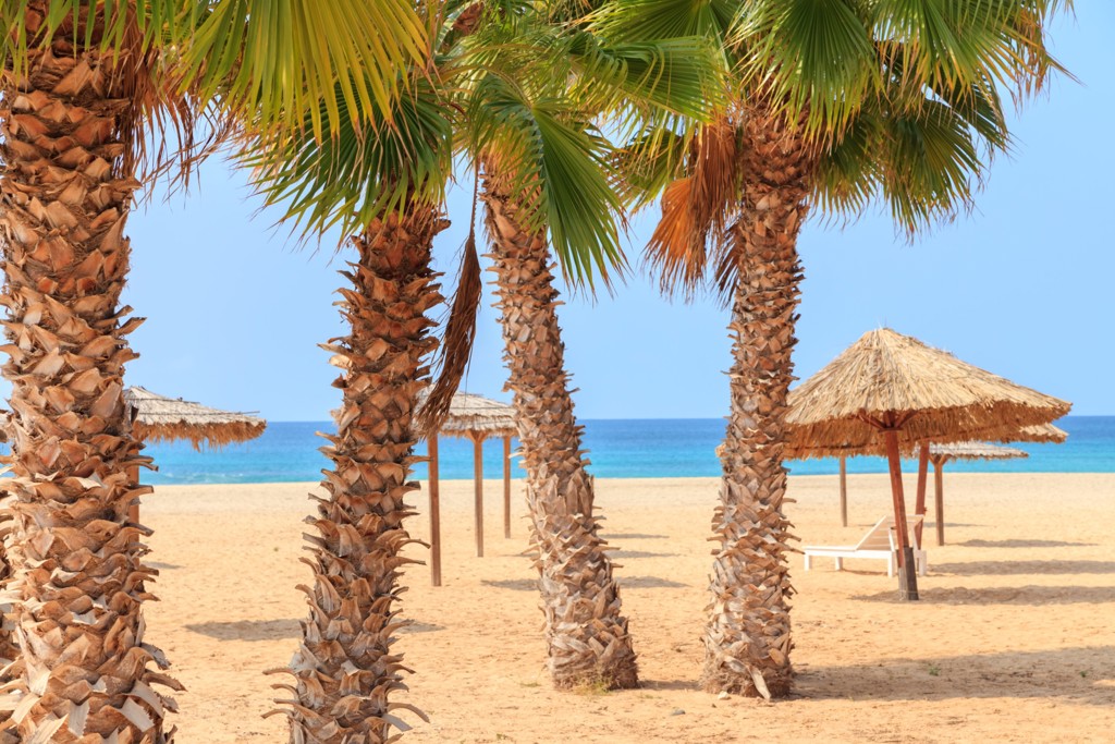 Palmbomen en rieten parasols op een zandstrand aan de Kaapverdische Eilanden.