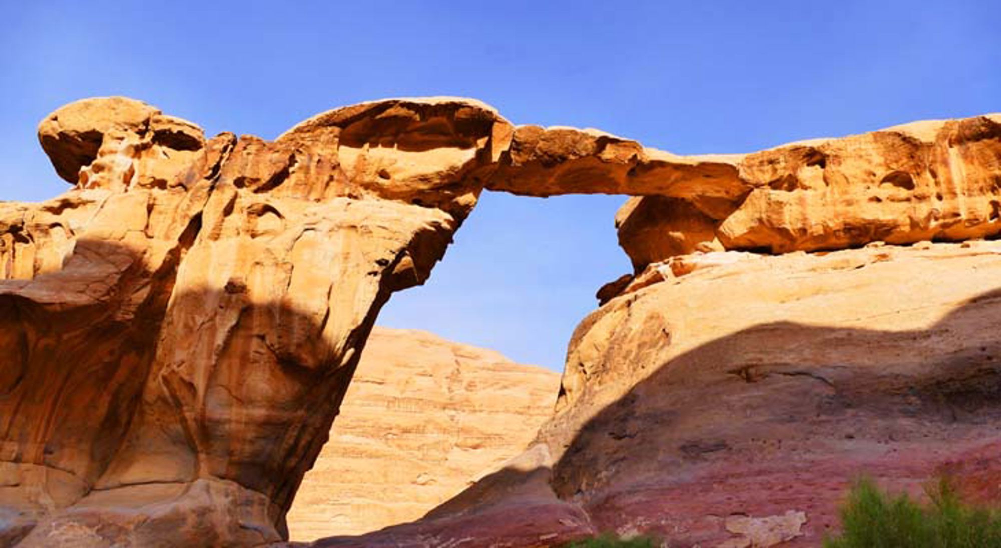 Burdah Rock Bridge Jordanië Kameel in de woestijn van Jordanië.