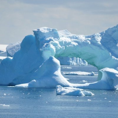 Koningspinguïns op het strand in Antarctica tijdens de groepsrondreis naar S. Georgia en de Poolcirkel.