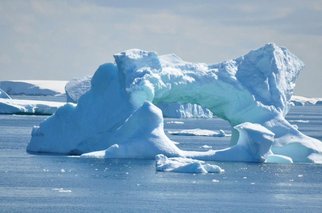 Koningspinguïns op het strand in Antarctica tijdens de groepsrondreis naar S. Georgia en de Poolcirkel.