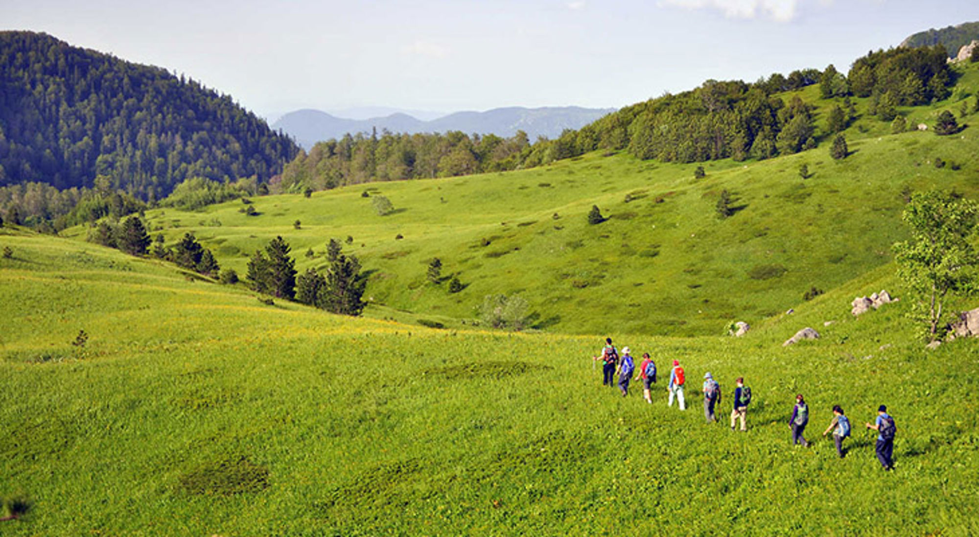 Wandelvakantie Bosnië en Herzegovina Wandelaars trekken door een groene bergweide met bossen en heuvels op de achtergrond.