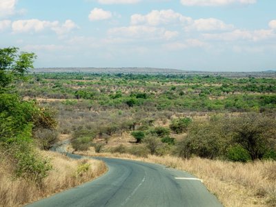 Groene rijstterrassen in het heuvelachtige landschap van Madagascar tijdens een 25-daagse rondreis.