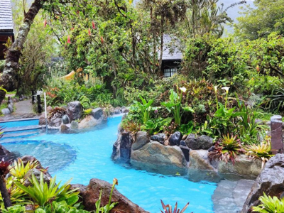 Thermaal zwembad met helderblauw water tussen tropische planten en rotsen tijdens de route Ecuador en Galapagos.