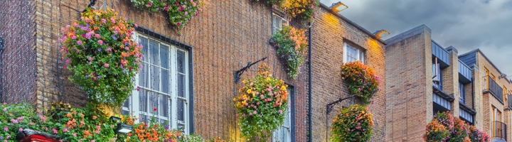 Gevel met kleurrijke bloemenmanden boven een rood café in Dublin, Ierland.