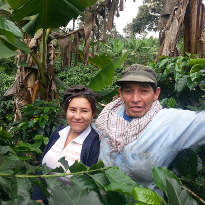 Bezoek aan koffiefinca Gladis: twee mensen tussen koffiestruiken en bananenplanten tijdens een excursie.