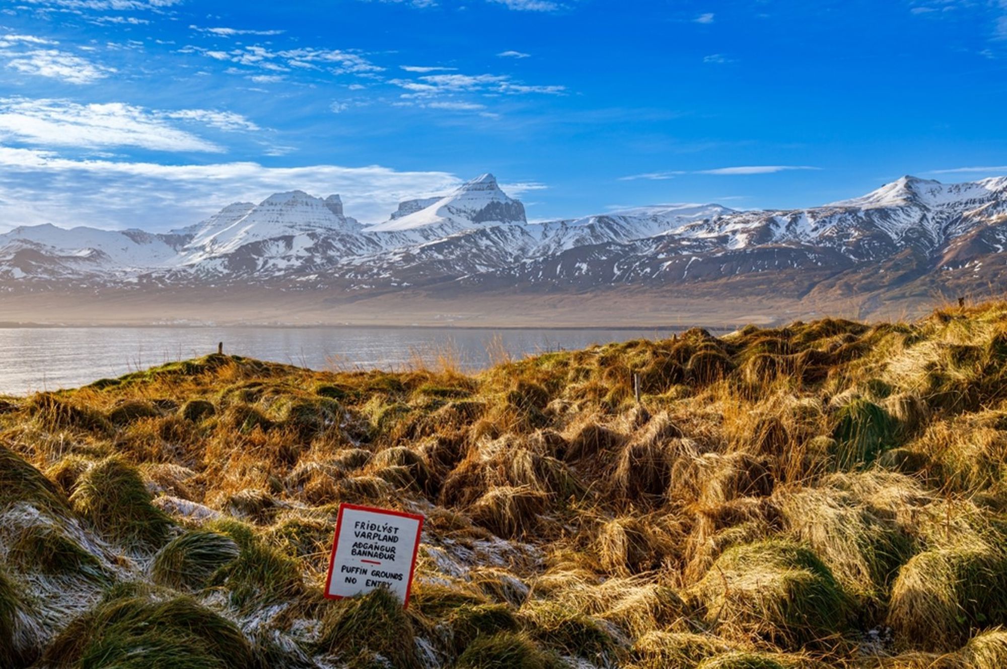 Berglandschap met besneeuwde toppen aan de IJslandse kust, met grasduinen en zee op de voorgrond.