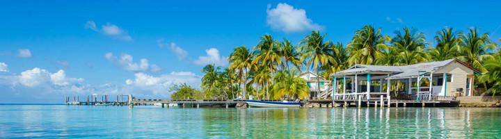 Palmbomen en houten huisjes aan een steiger in het heldere zeewater van Belize.
