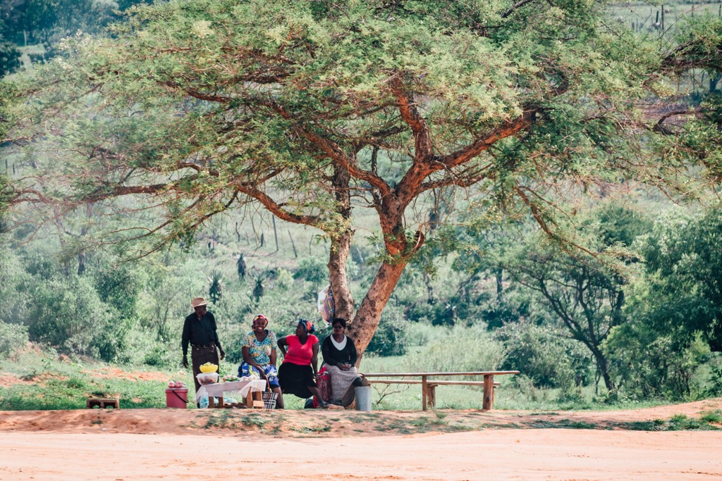 Lokale vrouwen met kraampje onder een grote boom langs de weg tijdens groepsrondreis Zuid-Afrika, eSwatini en Lesotho.