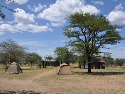 Ngiricamp