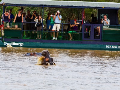 Toeristen fotograferen nijlpaarden tijdens een boottocht op de rivier, route Johannesburg–Kaapstad.
