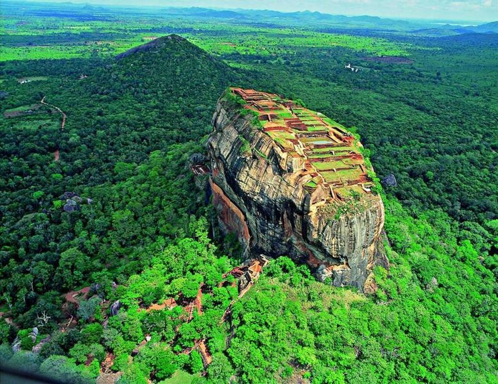 Olifant in het groen tijdens een groepsrondreis door Sri Lanka.