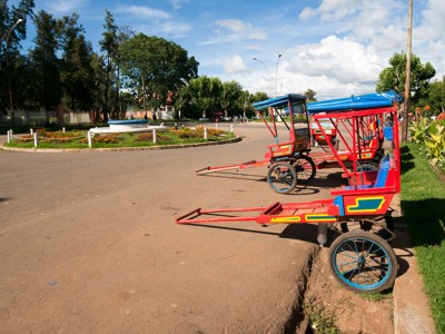 Riksja’s langs de weg in Antananarivo, Madagascar, bij een rotonde met bloemenperk en bomen.
