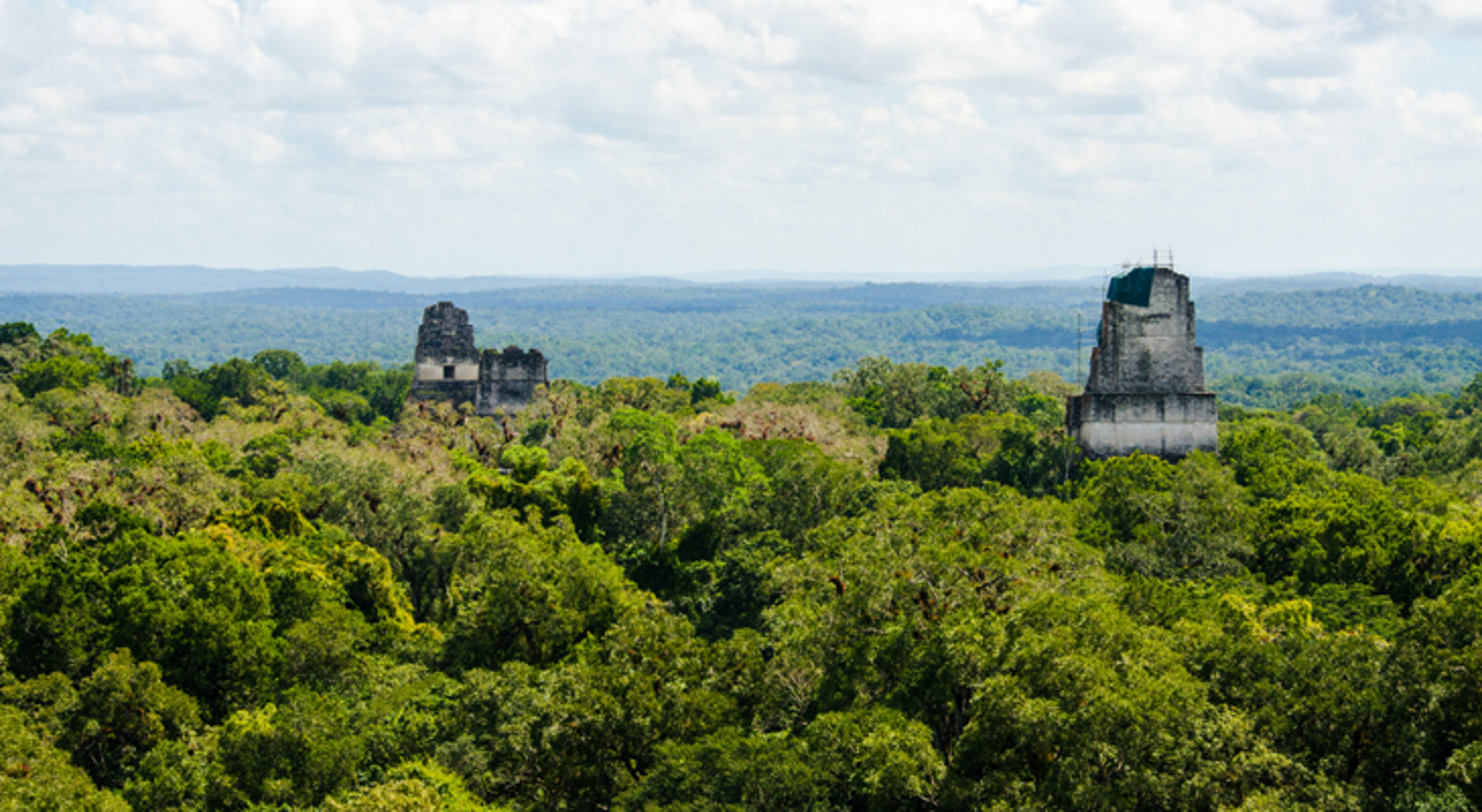 Tikal in Guatemala Uitzicht over de jungle met Maya-tempels van Tikal in Guatemala.