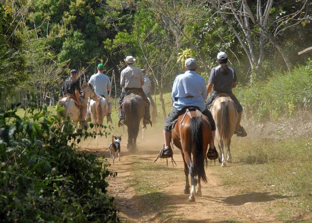 Ruiters te paard op een stoffig pad door het groen tijdens de groepsrondreis Costa Rica Hoogtepunten.