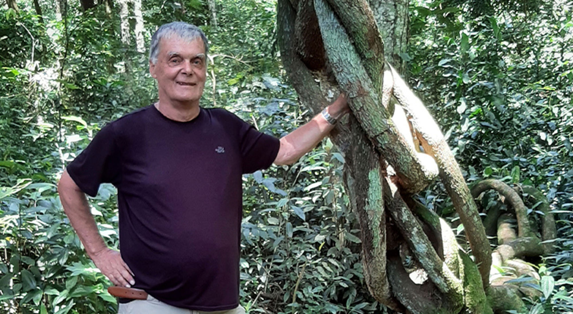 Kees in Uganda Man staat in dicht regenwoud naast een boom met dikke, kronkelende lianen.