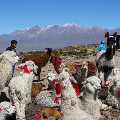 Uitzicht over de Andes in Peru met reizigers op een uitkijkpunt.