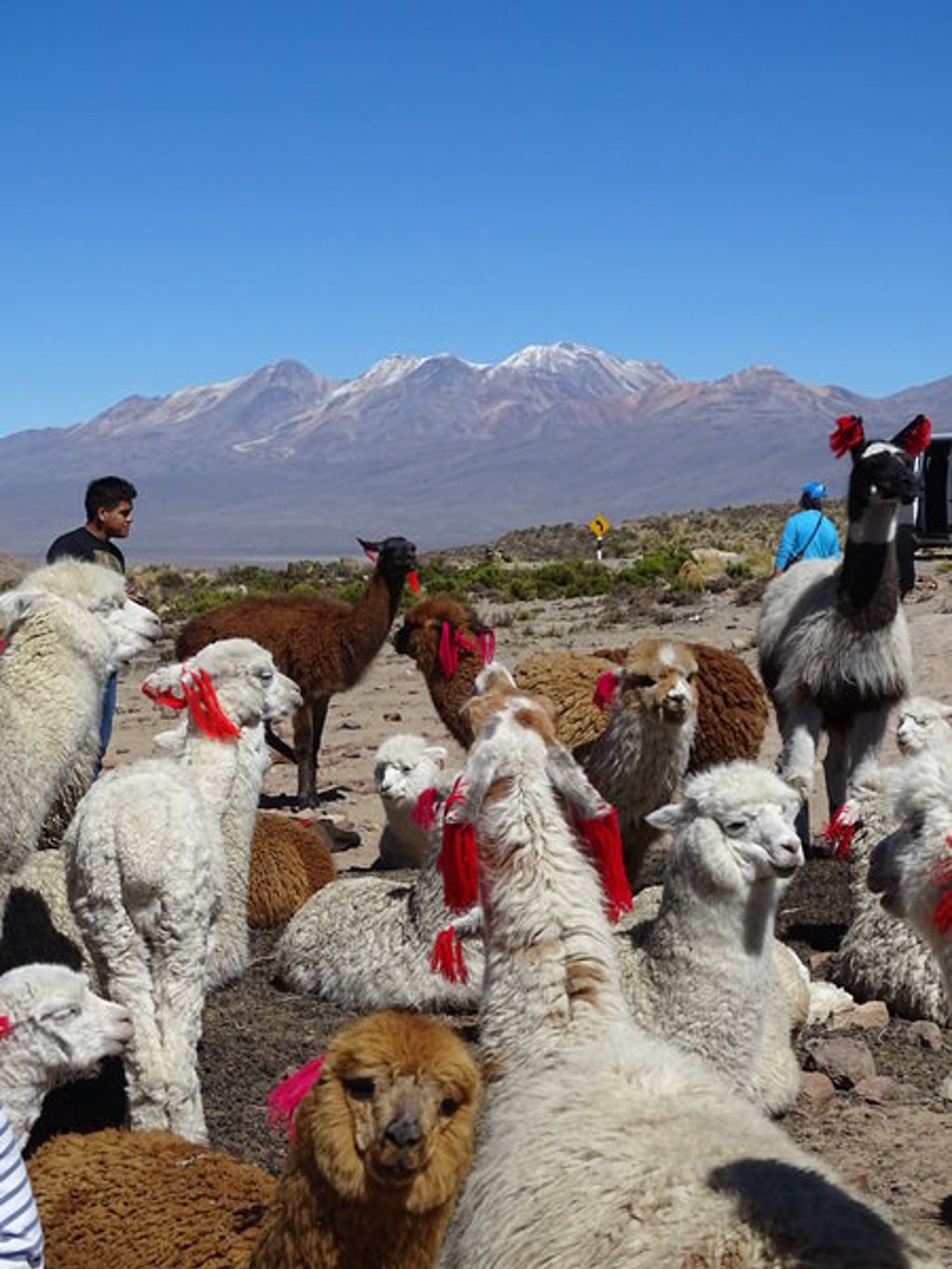 Uitzicht over de Andes in Peru met reizigers op een uitkijkpunt.