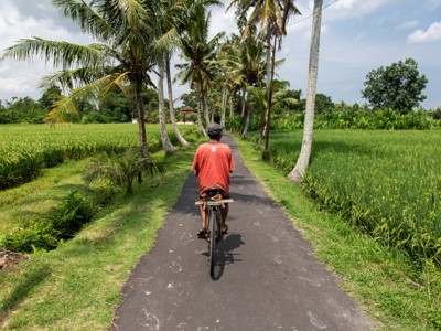 Fietser op een smal pad langs rijstvelden en palmbomen op Bali.