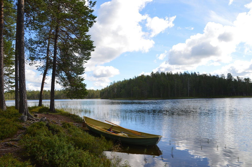 Roeiboot aan de oever van een Fins meer in Lapland, omringd door dennenbos in de zomer.