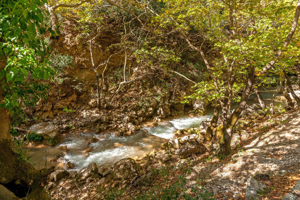 Rivier in een groene kloof tijdens een familiereis in Griekenland.