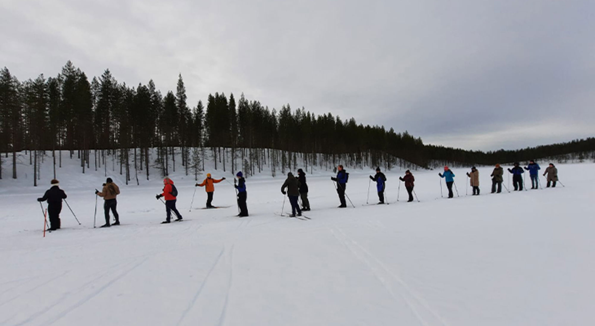 Langlaufen Finland Groep langlaufers op een besneeuwde vlakte langs een dennenbos.