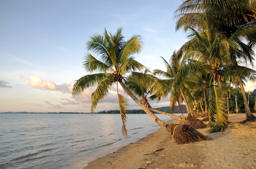 Palmbomen op een rustig zandstrand in Maleisisch Borneo, Maleisië.