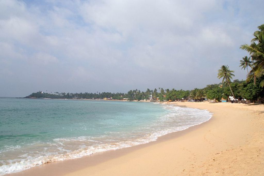 Tropisch zandstrand met palmbomen aan de kust van Sri Lanka tijdens de groepsrondreis Sri Lanka Hoogtepunten.