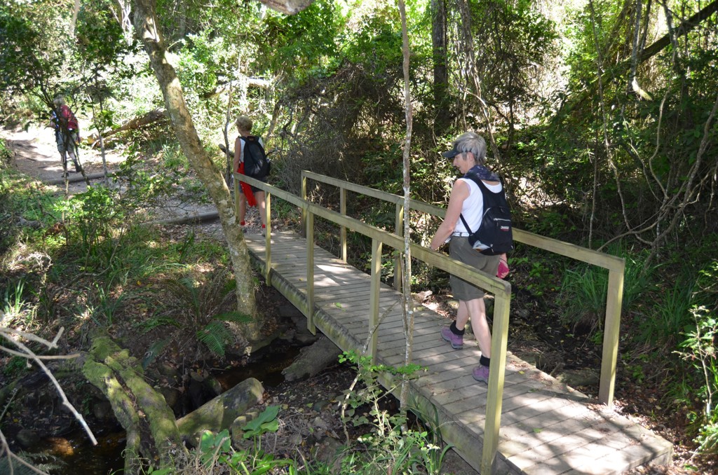 Wandelaars steken een houten brug over in een groen bos tijdens de groepsrondreis Zuid-Afrika, eSwatini en Lesotho.