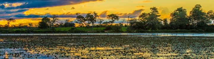 Zonsondergang boven de wetlands van de Pantanal in Brazilië, met water, bomen en wolkenlucht.