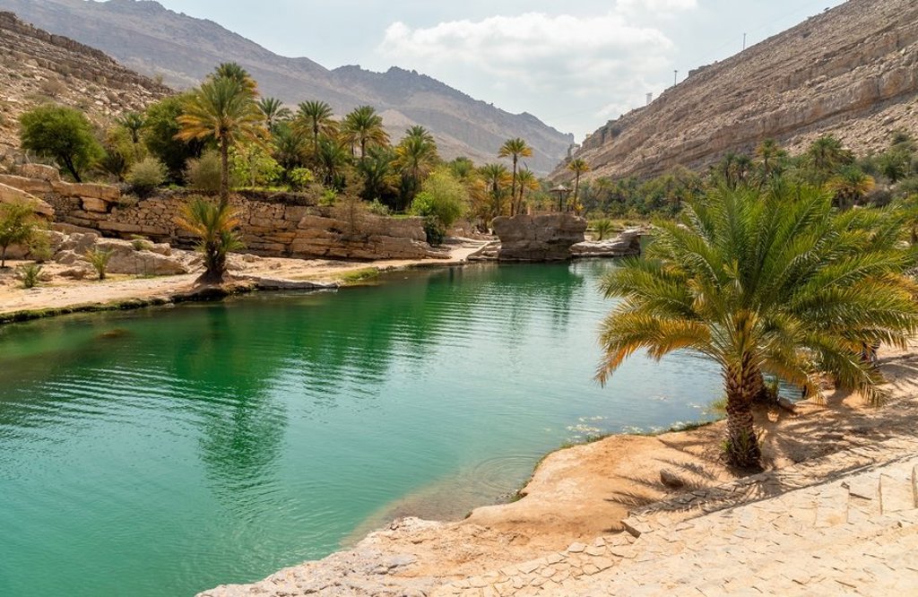 Groepsrondreis Oman en Dubai: kamelen in de woestijn bij zonsondergang.