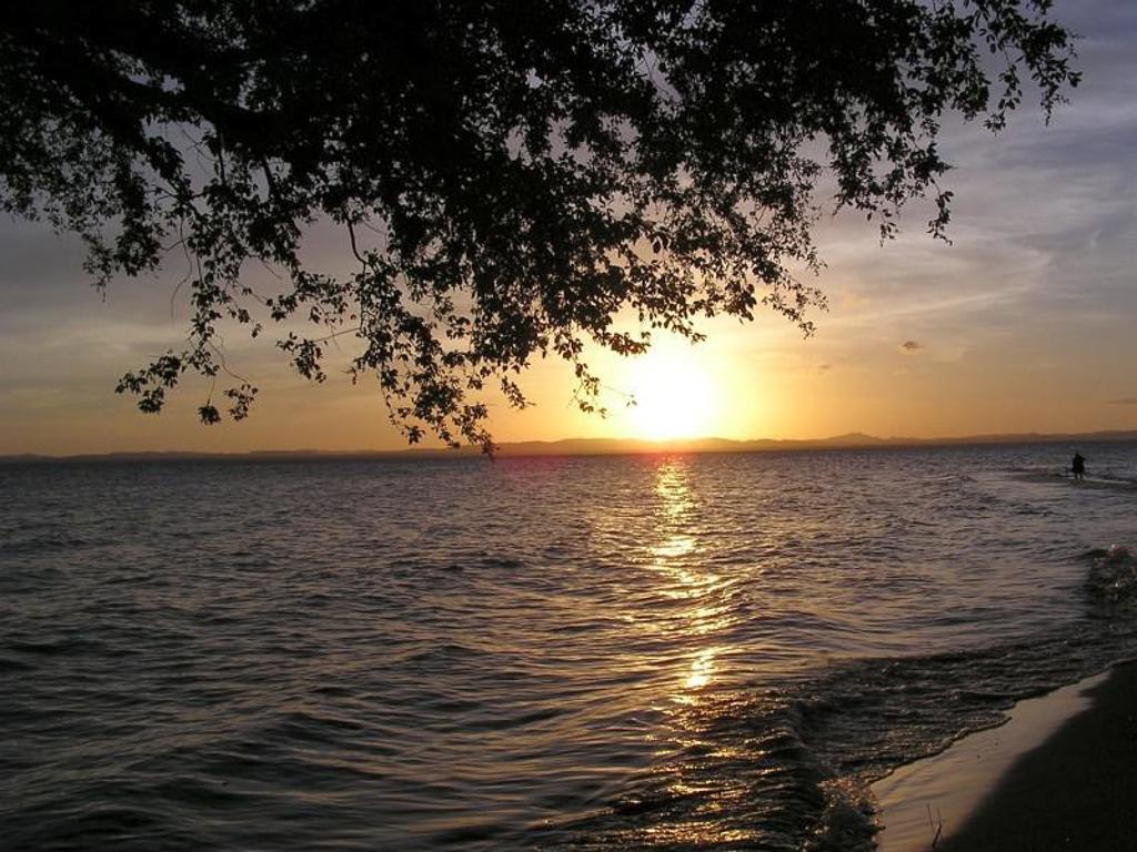 Zonsondergang boven de oceaan aan de kust van Costa Rica, met boomtakken in silhouet.
