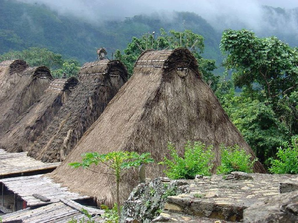 Traditionele rieten daken van het dorp Isu op de Kleine Sunda eilanden, Indonesië, met groene heuvels op de achtergrond.