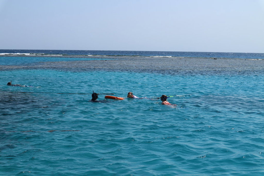 Snorkelaars in de Rode Zee bij Egypte tijdens de groepsrondreis Egypte Hoogtepunten.