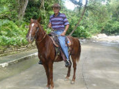 Man te paard op een weg door groen landschap tijdens de reisroute Cuba 23 dagen.