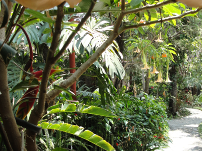 Hotel Utzjay - tuin