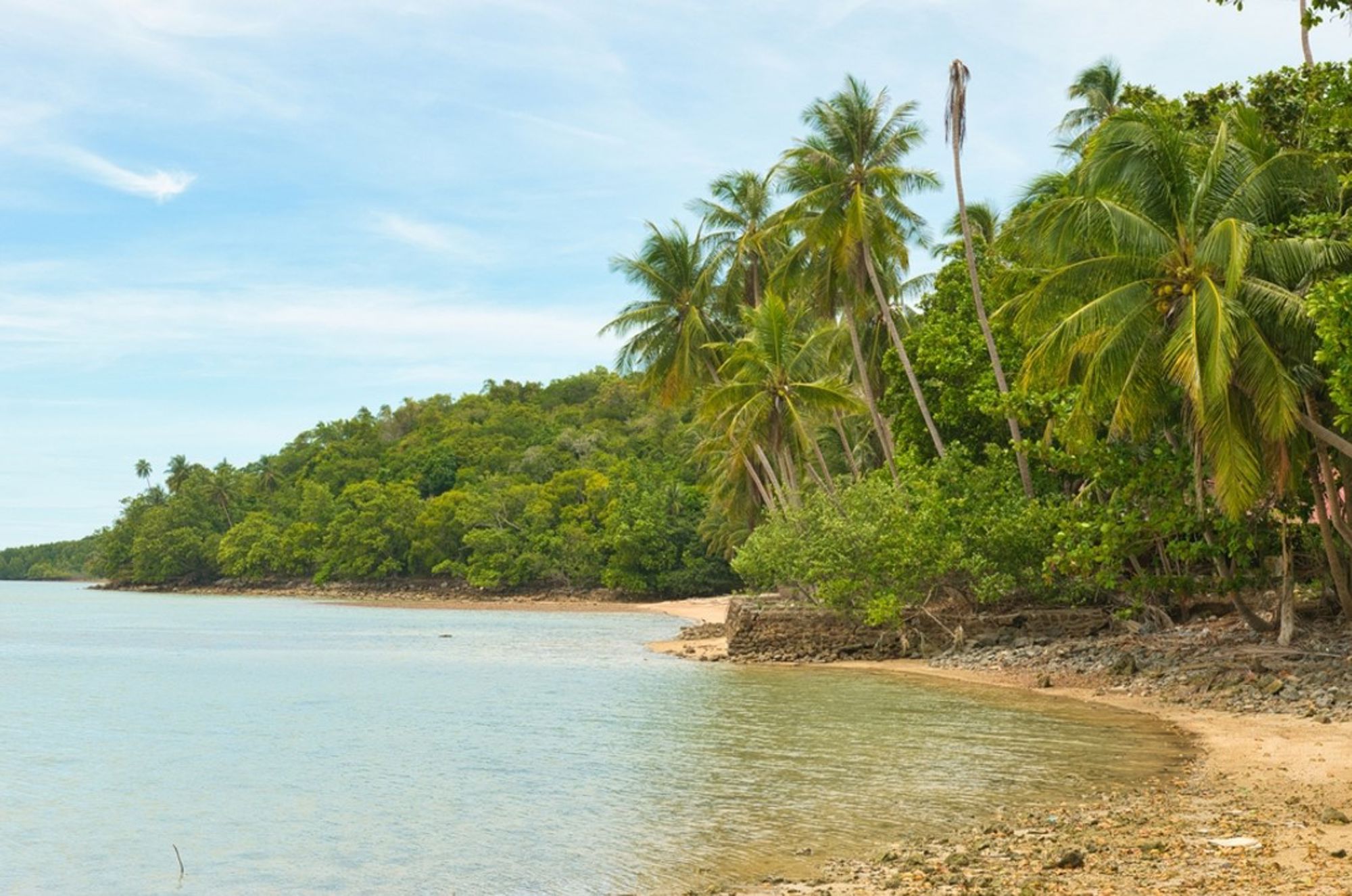 Tropisch strand met palmbomen en rustige zee in Thailand.