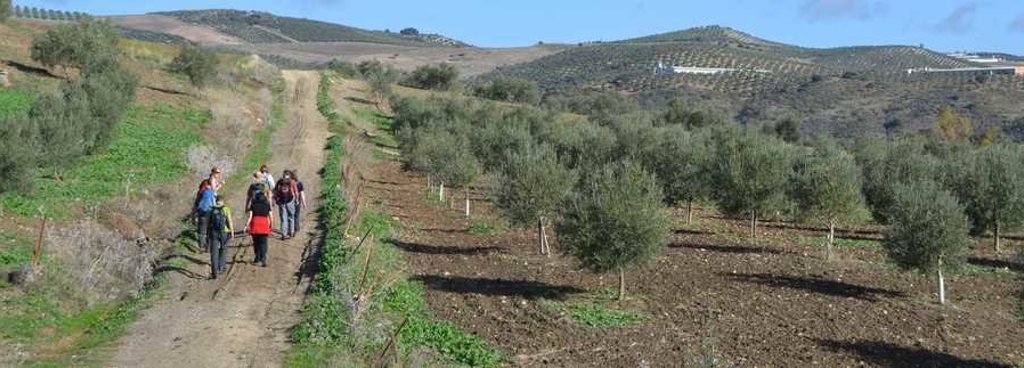 Wandelaar op een bergpad met uitzicht op groene heuvels in Andalusië, Spanje.