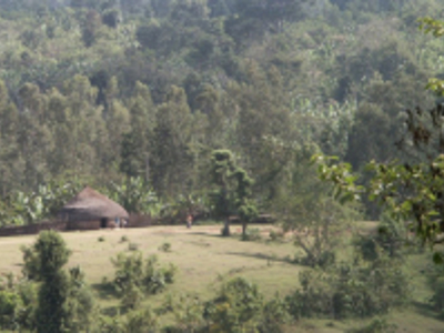Rieten hut in een groene vallei in Ethiopië tijdens de 29-daagse route.