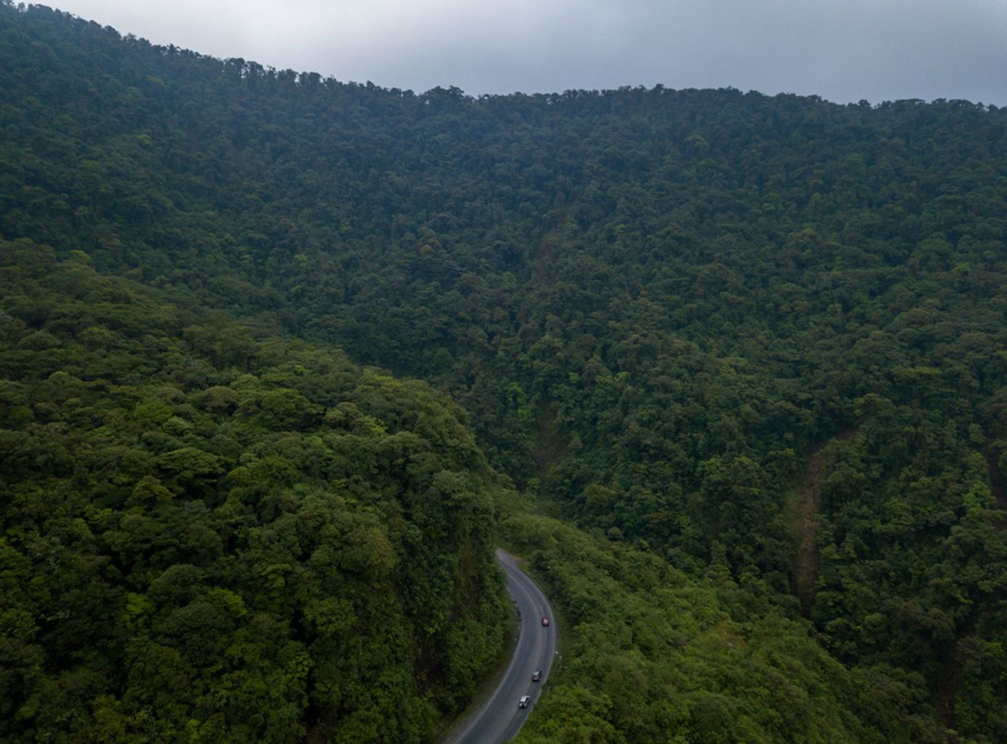 Kronkelende weg door dicht regenwoud in Costa Rica, gezien vanaf een uitkijkpunt.