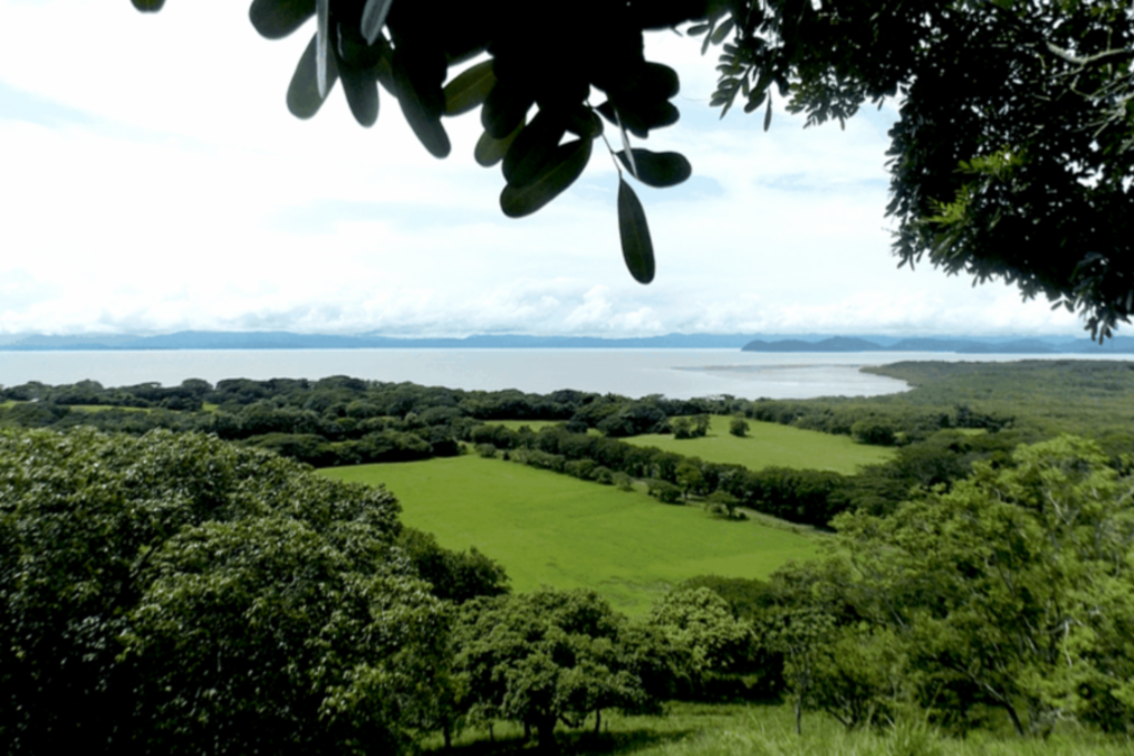 Uitzicht over groene kustvlakte en zee tijdens groepsrondreis Nicaragua en Costa Rica.