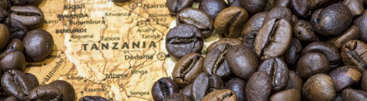 Koffiebonen op een kaart van Tanzania, passend bij koffiereizen door Tanzania.