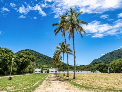 Palmenlaan bij een historisch landgoed in het groene berglandschap van Brazilië tijdens de Route Brazilië.