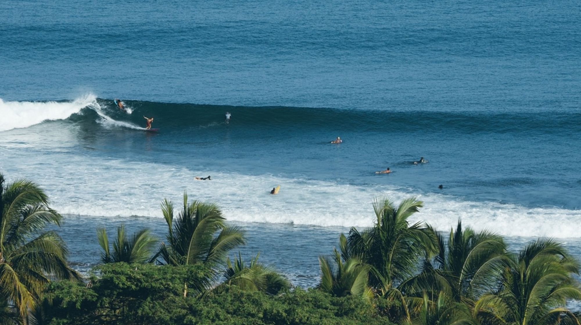 Surfers in de golven voor een palmenstrand aan de kust van Peru.