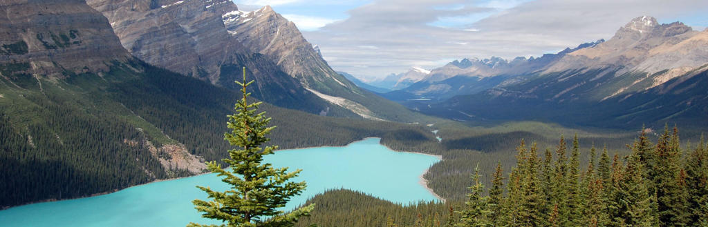 Turquoise bergmeer in de Canadese Rocky Mountains, omringd door dennenbossen en hoge bergtoppen.
