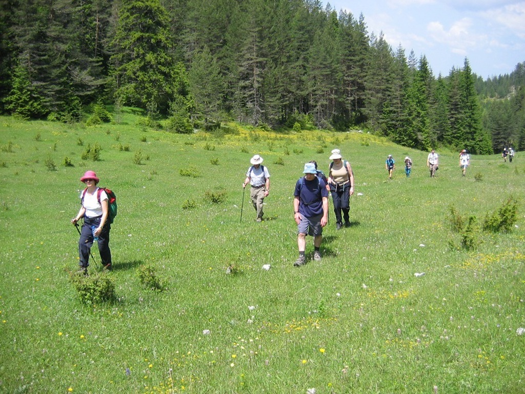 Wandelaars tijdens een wandelvakantie in de Bulgaarse Balkan, door groene weides langs dennenbos.