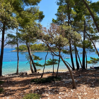 Schaduwrijk dennenbos aan een turquoise baai bij Korcula, ideaal startpunt voor eilandhoppen.